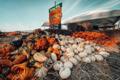 Dripping Springs Pumpkin Festival Announces Dates